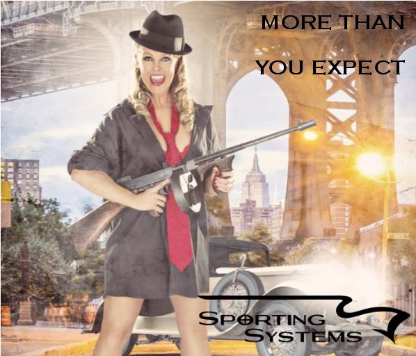 Sporting Systems Gun Shop. More than you expect.