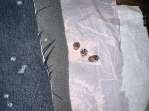 1 denim + 1 fleece + 1 dress cotton + 1 cotton t-shirt