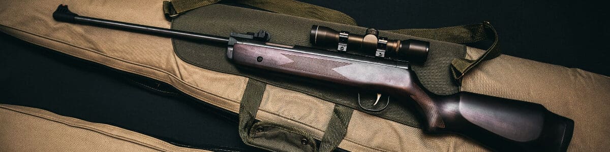 Image of a rifle in a carrying case to illustrate hot to clean the outside of a gun.