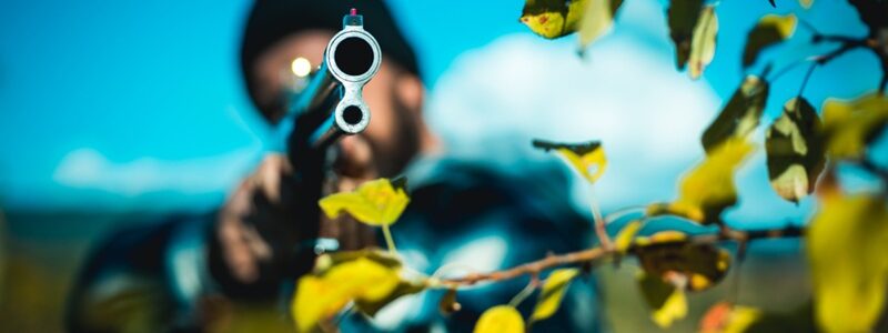 Barrel of a gun