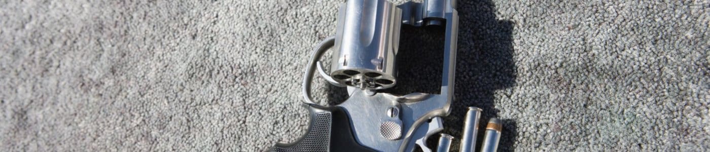 Restoration Of Gun Ownership Rights