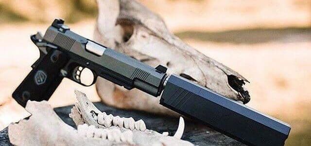 Photo of a handgun with a silencer sitting on a log